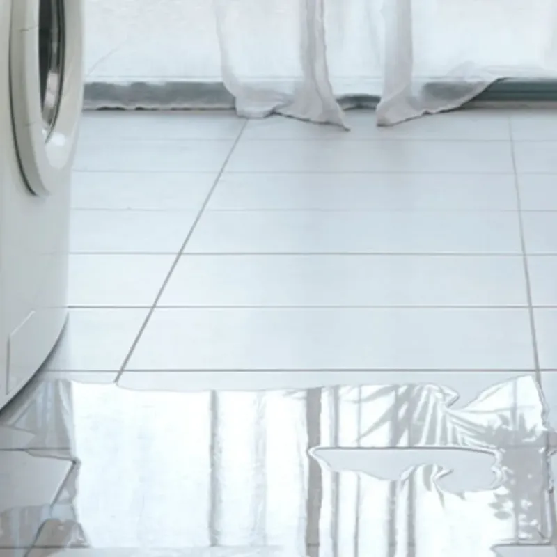 Appliance Leak Cleanup in Chisholm, ME