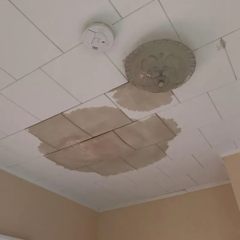 Ceiling Water Damage Repair in Chisholm, ME