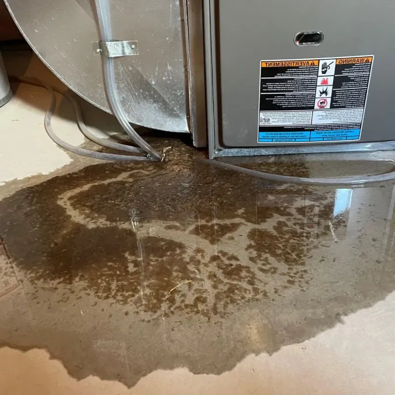 Pipe Burst and Leak Restoration in Chisholm, ME