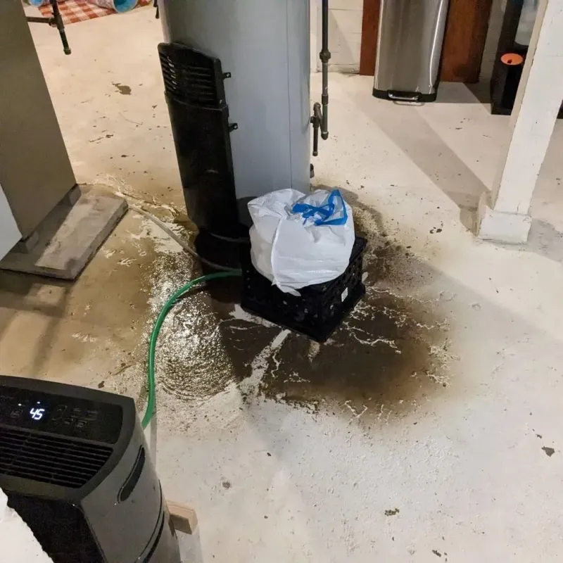 Sewage Backup Cleanup Service in Chisholm, ME
